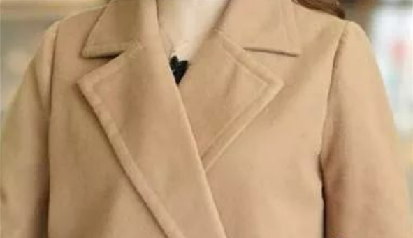 干洗大衣领子方法