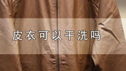 皮衣干洗鉴定